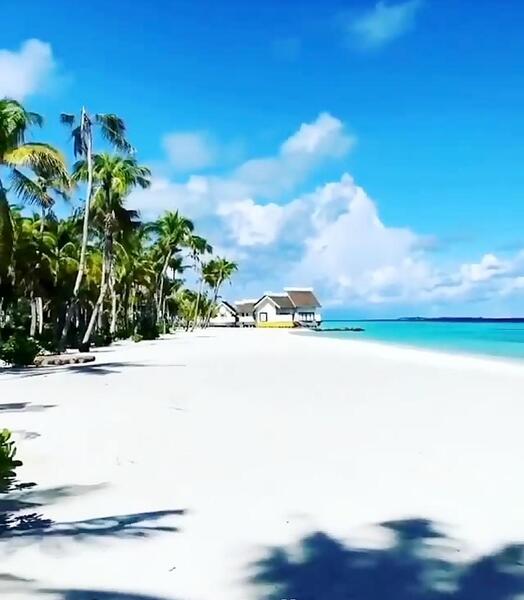 عکس طبیعت مالدیو