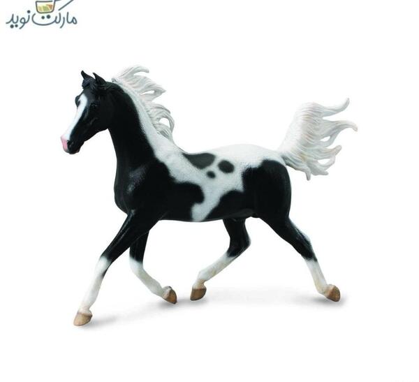 عکس کره اسب نریان