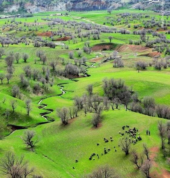 عکس طبیعت سرسبز ایران
