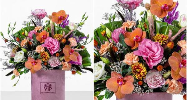 عکس گل برای تولد نوزاد