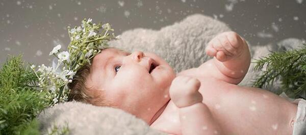عکس گل برای تولد نوزاد
