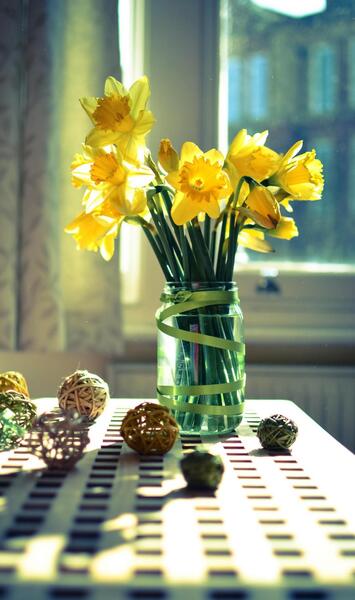 عکس گل جدید برای صفحه گوشی