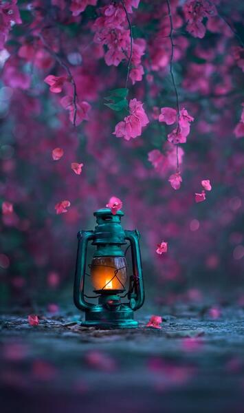 عکس گل جدید برای صفحه گوشی