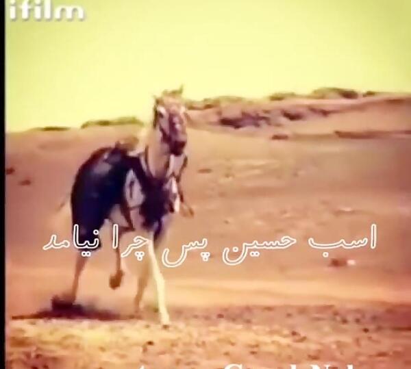 عکس امام حسین سوار اسبش