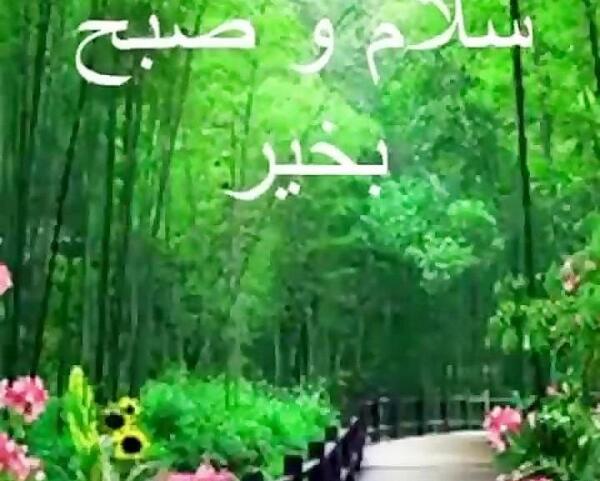 عکس زیبا از طبیعت سلام صبح بخیر