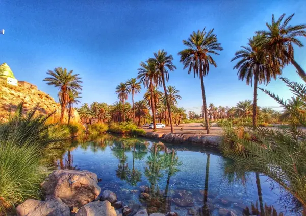 عکس طبیعت جنوب ایران