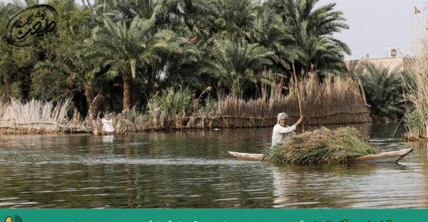 عکس طبیعت جنوب ایران