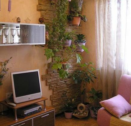 عکس گل طبیعی داخل خانه