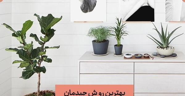 عکس گل طبیعی داخل خانه