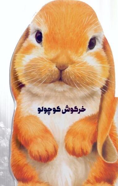 عکس بچه خرگوش کوچولو
