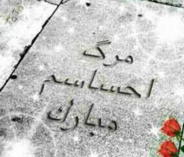 عکس صاحب این پروفایل مرد مبارک خیلیا