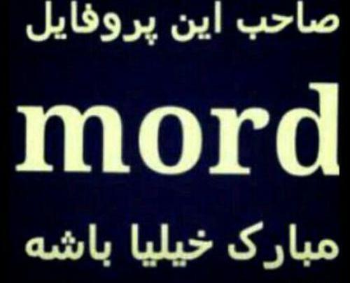 عکس صاحب این پروفایل مرد مبارک خیلیا