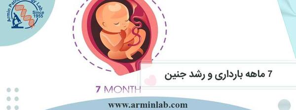 عکس بچه شش ماهه داخل شکم مادر