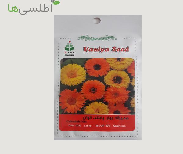 عکس بذر گل همیشه بهار
