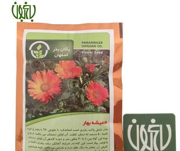 عکس بذر گل همیشه بهار