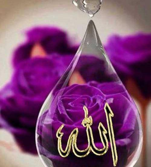عکس نام های الله