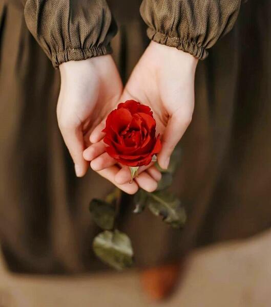 عاشقانه عکس گل آبی برای پروفایل