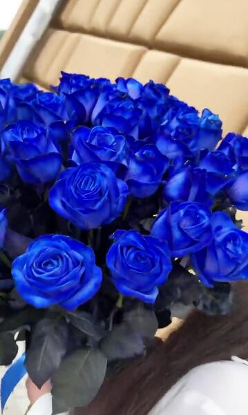عاشقانه عکس گل آبی برای پروفایل