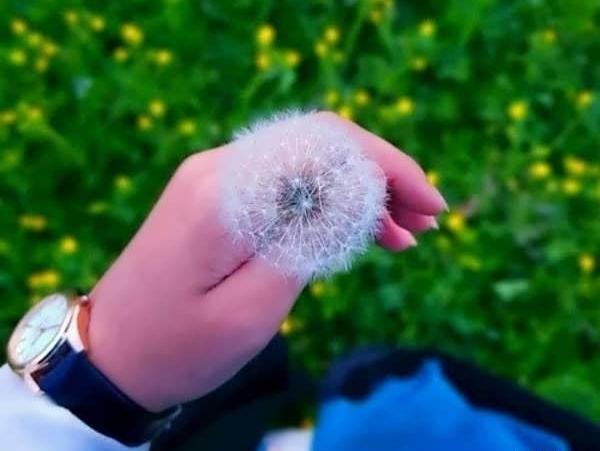 عکس پروفایل برای صفحه ی گوشی