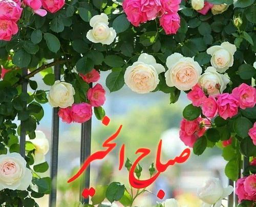 عکس پروفایل صبح بخیر عربی