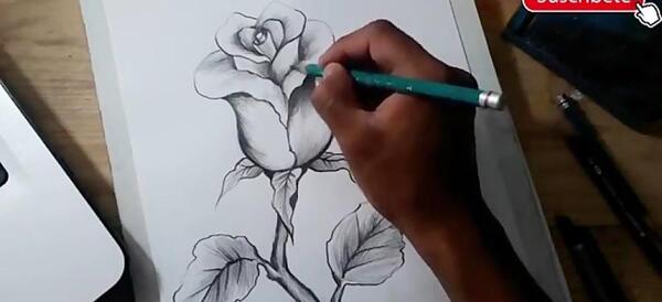 عکس طراحی گل رز سیاه قلم