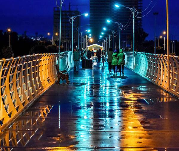 عکس پل طبیعت در شب