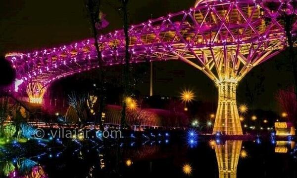 عکس پل طبیعت در شب