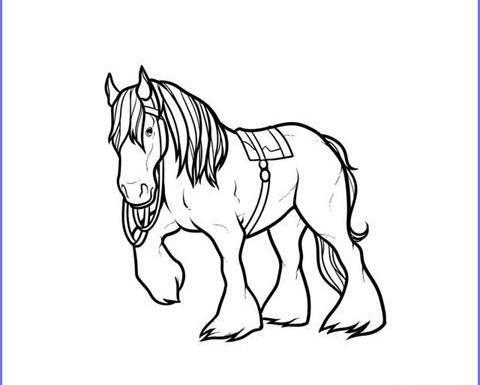عکس اسب بچه گانه نقاشی