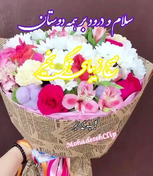 عکس سلام صبح بخیر بچه های گروه