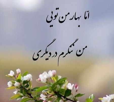 عکس پروفایل بهاری مردانه