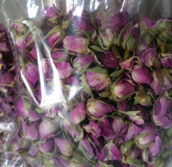 عکس غنچه گل محمدی خشک