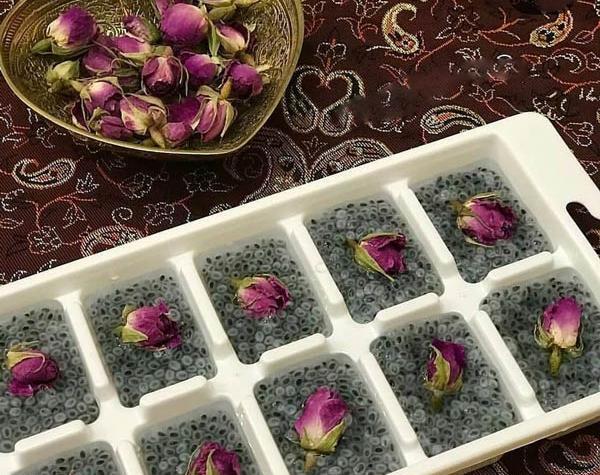 عکس غنچه گل محمدی خشک