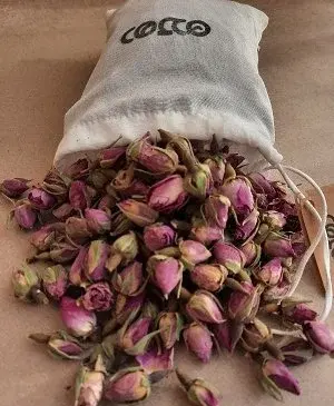 عکس غنچه گل محمدی خشک