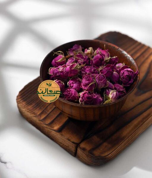 عکس غنچه گل محمدی خشک