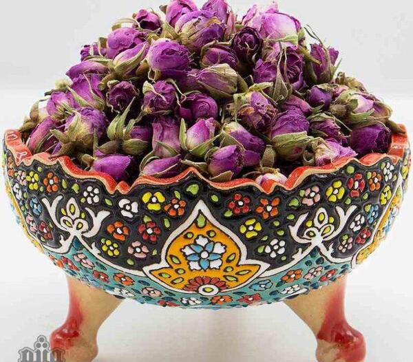 عکس غنچه گل محمدی خشک