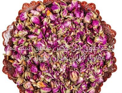 عکس غنچه گل محمدی خشک