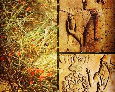 عکس الهه های ایران باستان