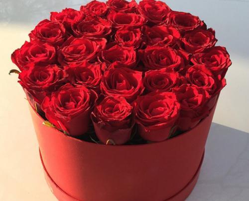 عکس گل قرمز برای پروفایل شاد