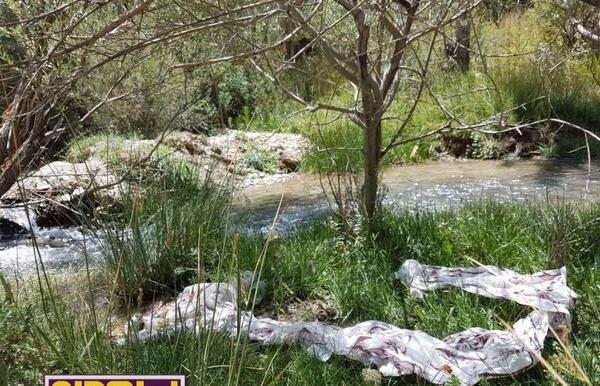 عکس طبیعت کثیف و زشت