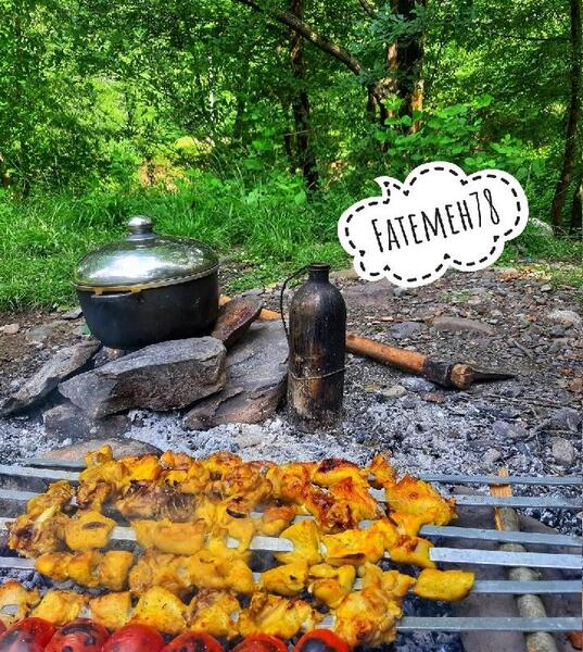 عکس طبیعت کثیف و زشت