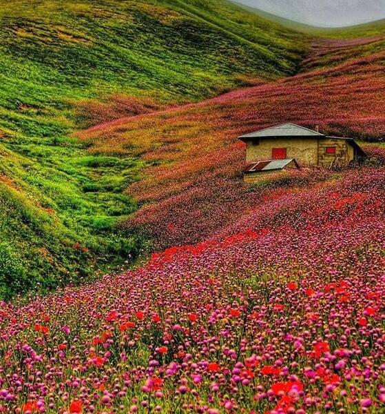 عکسهای از طبیعت بهاری