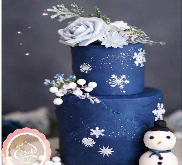 عکس کیک تولد به شکل آدم برفی