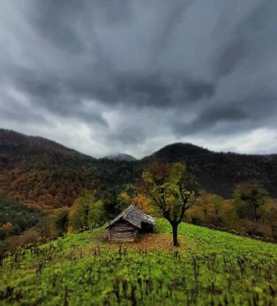 عکس طبیعت های بکر