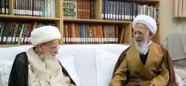 عکس حضرت آیت الله گلپایگانی