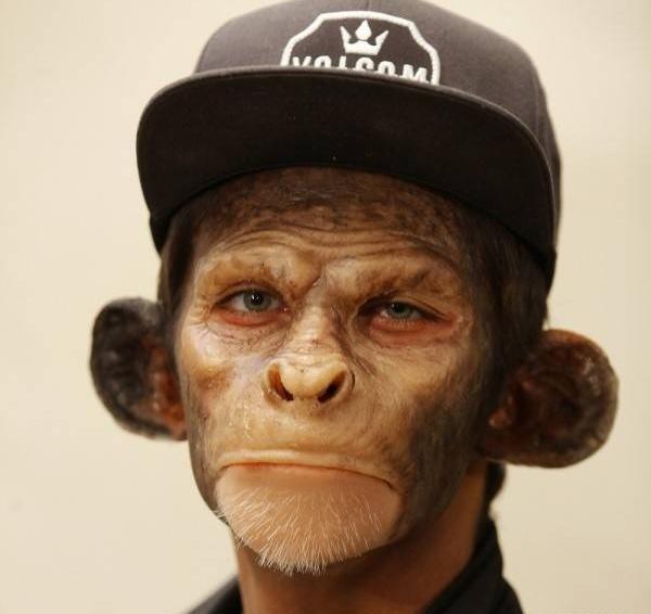 عکس میمون در فیلم آهوی پیشونی سفید