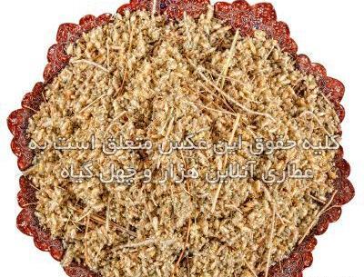 عکس گیاه خشک شده بهار نارنج