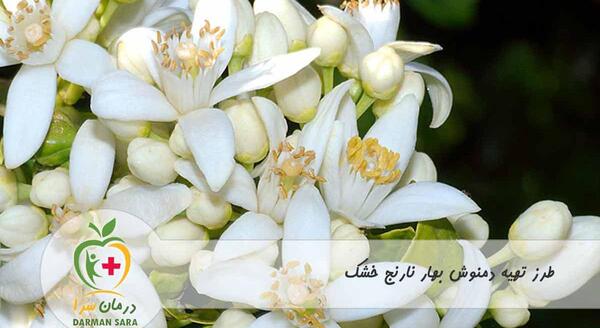 عکس گیاه خشک شده بهار نارنج