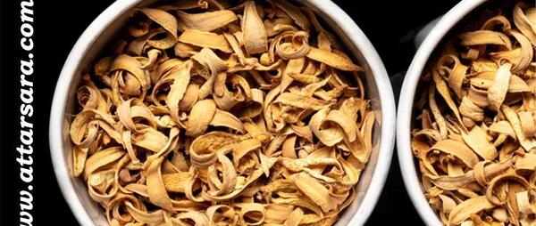 عکس گیاه خشک شده بهار نارنج