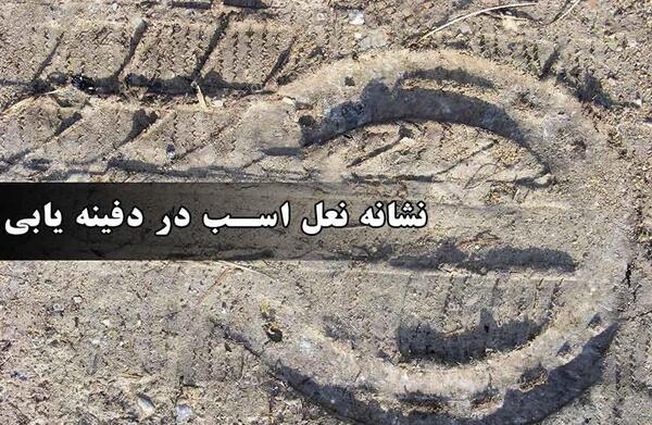 عکس سم اسبی