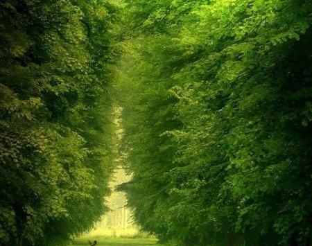 عکس هایی از طبیعت جهان